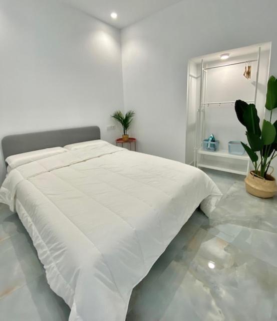 Apartamento Isasa Córdoba Exteriör bild